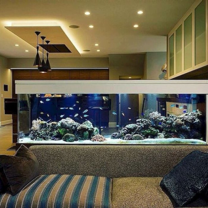 Contoh desain aquarium dinding